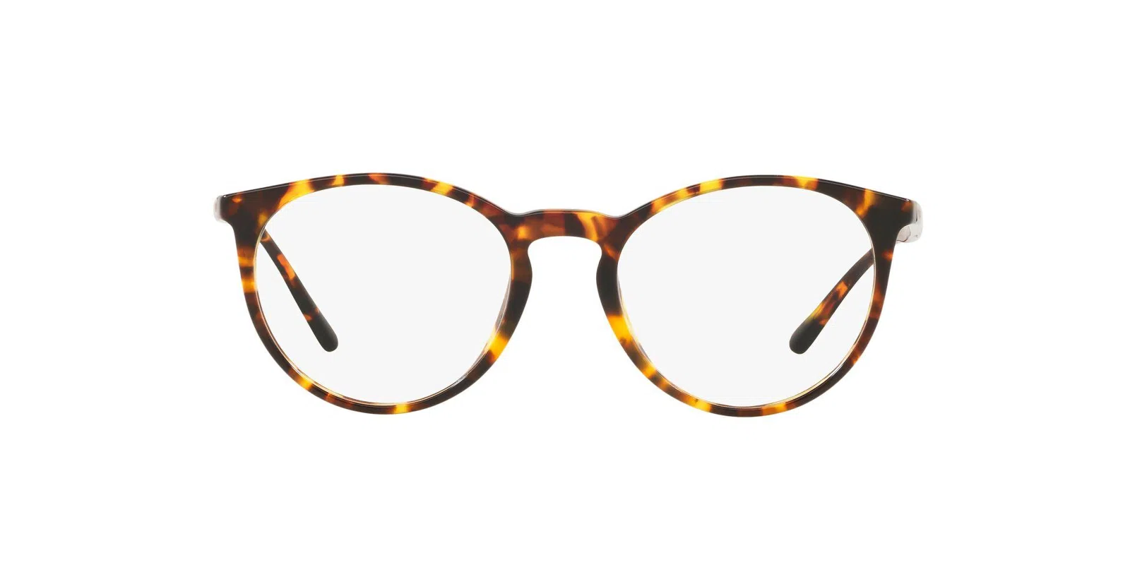 Polo 2193 Eyeglasses - view 27